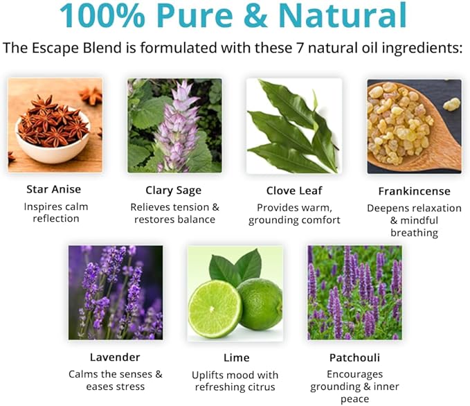 Wild Essentials Escape Essential Oil Blend – Relaxation & Stress Relief Aromatherapy 4-Pack