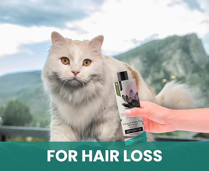 Holistic Natural Derived Lotus and White Tea Pet Shampoo: Veterinarian Recommended - Remove Dirt, Cleanse and Restore Your Dog, Cat or Horse Coat - Made in USA - 16 oz