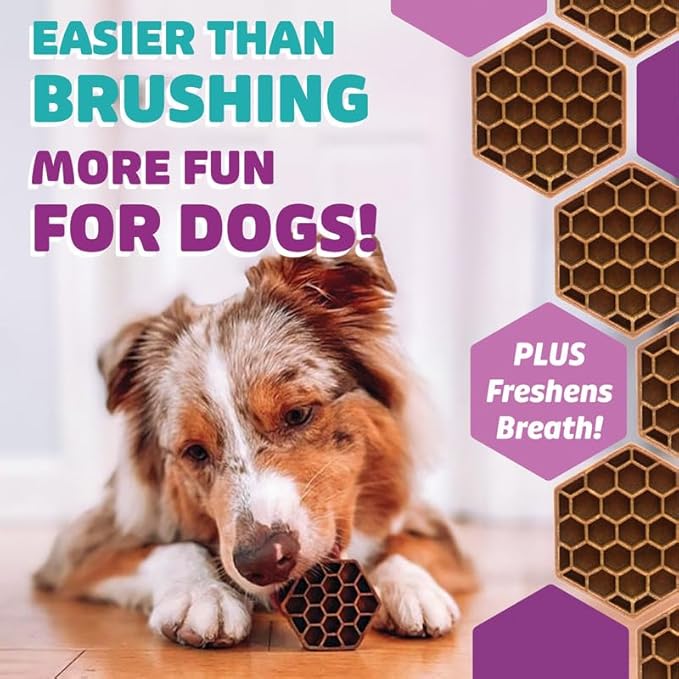 Longevity15 C15:0 Dog Health Supplement (30-Day Supply) & Yummy Combs Dog Dental Treats (8oz Bag) for Extra Small Dogs – C15:0 Fatty Acid for Daily Wellness, Food Topper – VOHC Approved Oral Care