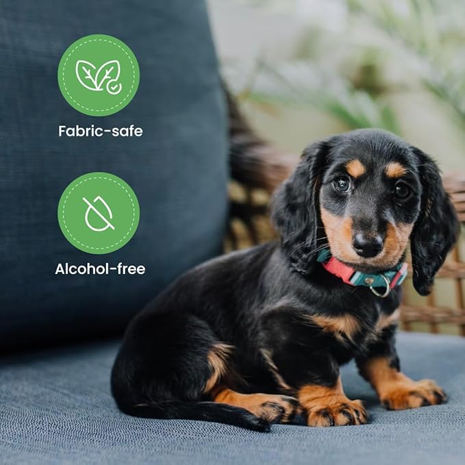 Best Shot Scentament Spa Calming Body Wash, Lavender Aloe, 16 oz