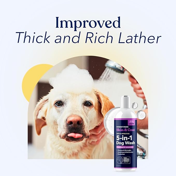 Honest Paws Dog Shampoo and Conditioner - Premium Dog Wash for Allergies and Dry, Itchy, Moisturizing for Sensitive Skin - Sulfate Free, Plant Based, All Natural - Oatmeal & Lavender - 16 Fl Oz
