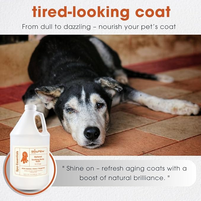 Jasmine & Honey Spa Body Wash for Dogs by Shiny Paw | Dog Itchy Skin Relief & Aging Coat | Hypoallergenic Dog Shampoo for Smelly Dogs | Made in USA (128 oz, White Jasmine, Honey & Tangerine)