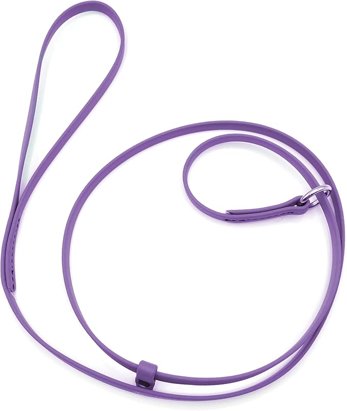 Jelly Pet Grooming Lead for Dogs | Great for Kennels, Veterinarians and Dog Grooming Salons | Biothane Leash - Easy to Clean, Waterproof & Durable Noose Loop | Made in The USA | 5/8" x 6'