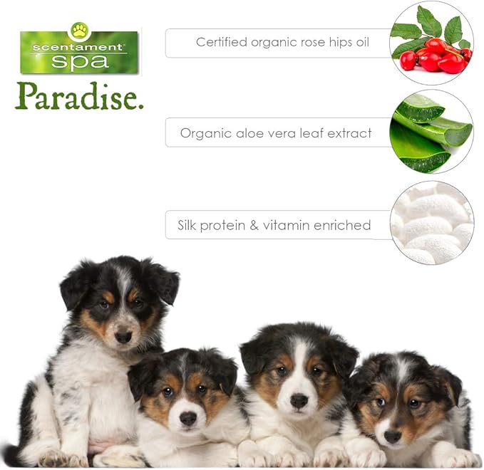 Best Shot Scentament Spa Puppy Conditioner, pH Balanced and Hypoallergenic Skin Care Product for Any Dog, Cat, Puppy, or Kitten, Mandarin Jasmine Honey, 16 Oz