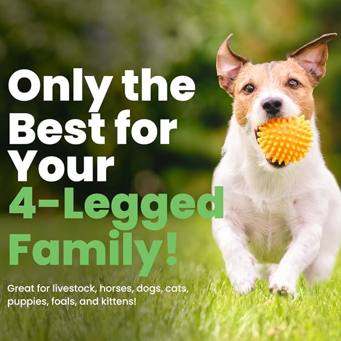 Best Shot ONE Shot Deodorizing Conditioner, Hydrating and Moisturizing Conditioner for Dogs, Cats, Horses, and Livestock, Removes Stubborn Odors, 1 Gallon