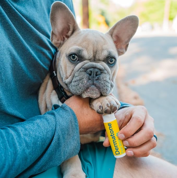 Dermatone Paw Stick for Dogs Stocking Stuffer | Natural Paw Balm for Cold, Heat, Salt, Sand & Snow | Moisturizing, Non-Toxic Paw Protector | Soothes, Repairs and Heals | 0.5oz Twist Stick