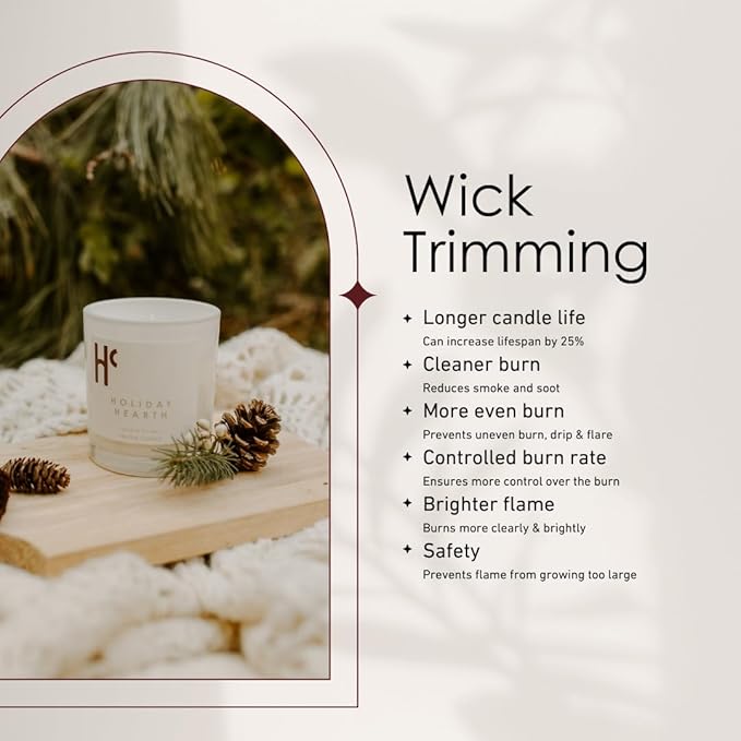 Holiday Hearth Single Wick Soy Candles, Luxury Scented Candles for Home - Up to 60 Hour Burn Time, Cruelty-Free Soy Wax Blend - Frosted Sugar Plum & Cinnamon Fragrance (9 oz)