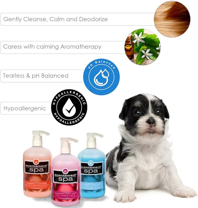 Best Shot Scentament Spa Caressing Puppy Wash, Wild Orchid Vanilla, 16 oz