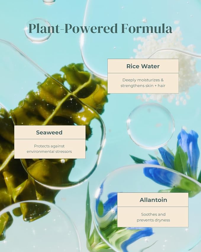 [petora] FURFECTION Rice Water Foaming Spray Shampoo for Dogs | Free of Harsh Ingredients, Fragrance | Hydrating, Deep Cleansing and Adding Shine | Plant-Based, pH-Balanced Formula (13.5 Fl Oz)