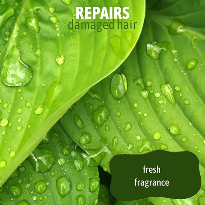 Bubble Bros. 2 in 1 Dog Shampoo and Conditioner for Pets, Gallon - Naturally Derived Ingredients, Eliminates Smelly Pet Odors, Moisturizes and Nourishes, Cleans and Conditions, Bulk Refill Size 128 oz