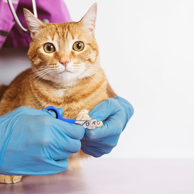 9 Pcs Cat Bathing Bag Set Cat Shower Bag Anti Bite and Scratch for Pet Grooming Washing Brush Comb Muzzle Nail Clipper Nail File Tick Tool(Blue, Turquoise)