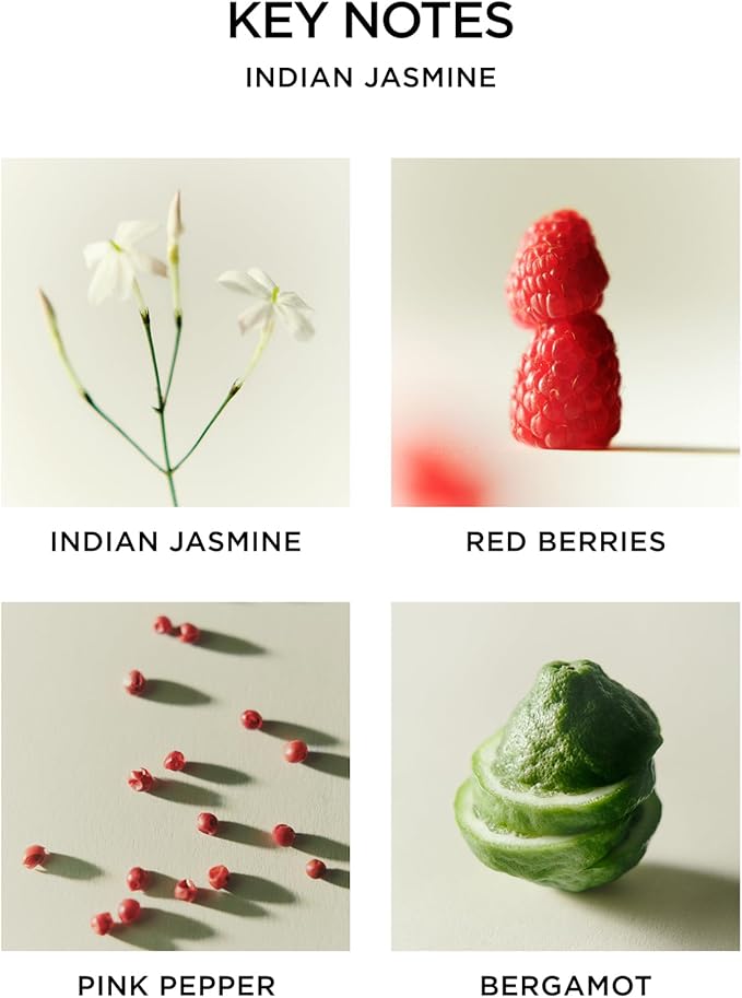 NEST New York Scented Classic Candle, Indian Jasmine - 8.1 oz - Up to 60-Hour Burn Time - Reusable Glass Vessel