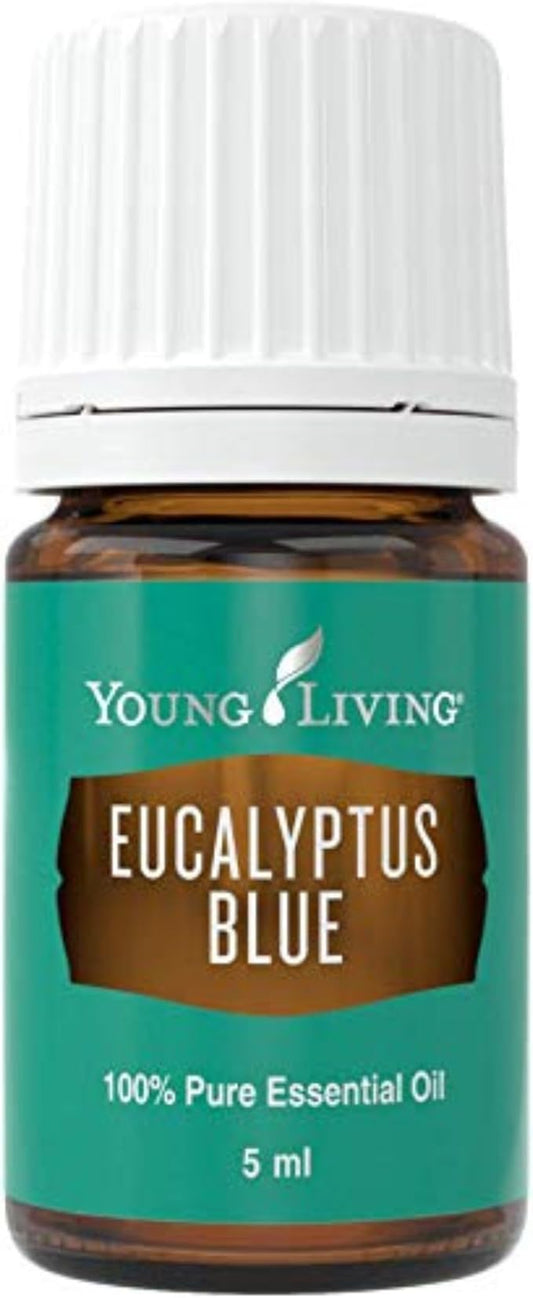Young Living Eucalyptus Blue Essential Oil | 5 ml | Pure, Invigorating Botanical Extract | Crisp, Refreshing Aroma for Diffusers, Wellness, Comfort, and Soothing Aromatherapy Experience