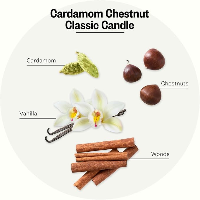 Apotheke Signature Candle Scented Candles for Home, Cardamom Chestnut - 10.5 oz Seasonal Soy Wax Jar Candle - Long-Lasting Fall Scented Fragrance with Perfume-Grade Essential Oils