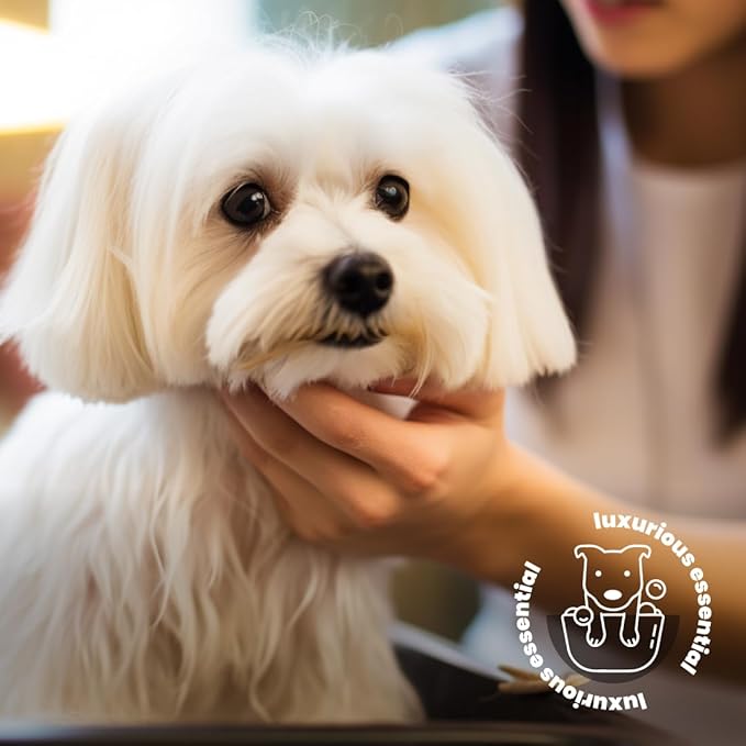 Best Shot Pet Scentament Spa Botanical Body Splash, Fresh Apple Lily, 8 oz (ZX8800 08 02)