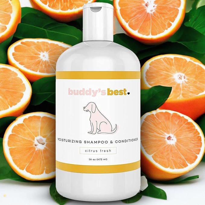 Buddy's Best Dog Shampoo for Smelly Dogs - Skin-Friendly, Oatmeal Dog Shampoo and Conditioner for Dry and Sensitive Skin - Moisturizing Puppy Wash Shampoo, Citrus Fresh Scent, 16oz