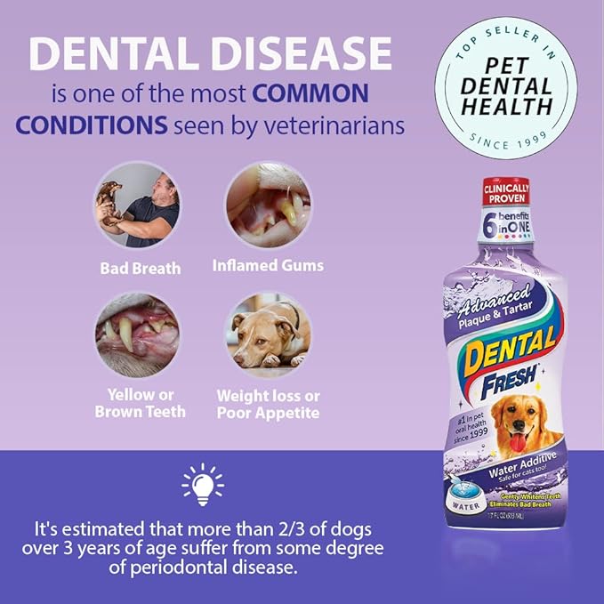 Dental Fresh Advanced Plaque and Tartar Water Additive, 32oz – Dog Teeth Cleaning Formula to Freshen Breath and Improve Cat & Dog Dental Care