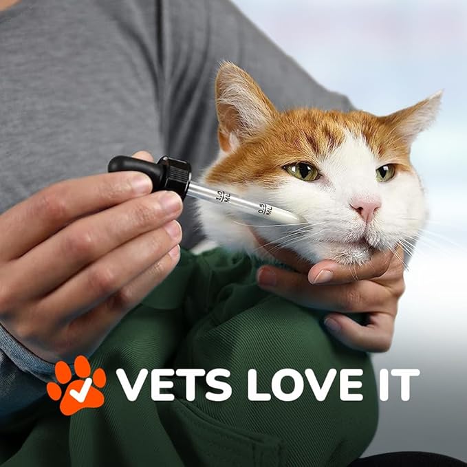 Cat-in-the-Bag Cozy Comfort Carrier - Small Green Pet Carrier and Cat Carrier Soft for Cutting Nails, Vet Visits, Medication Administration, Dental Care, & Travel