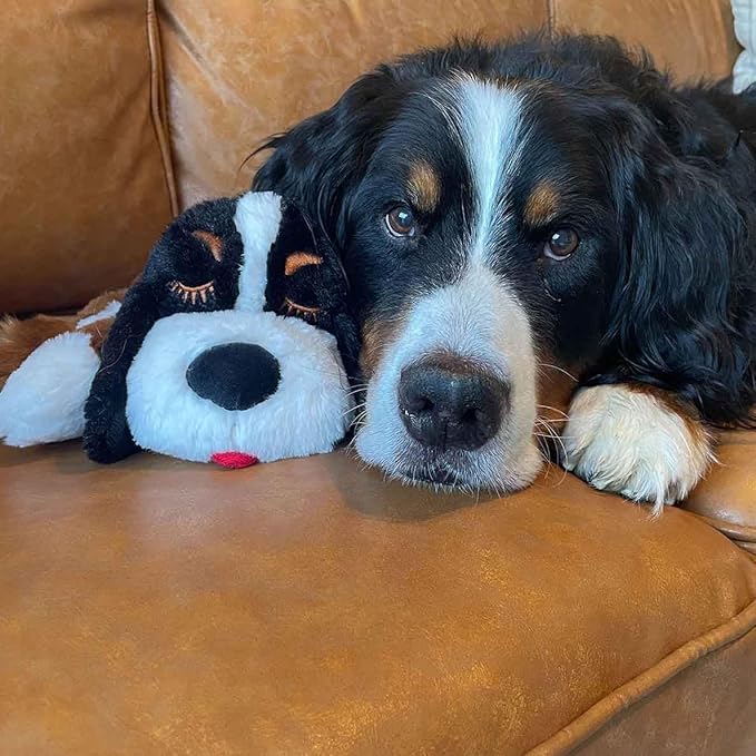 Special Edition Snuggle Puppy Toys - Heartbeat Puppy for Dogs - Pet Anxiety Relief and Calming Aid - Comfort Dog Toys for Behavioral Training