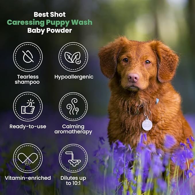 Best Shot Scentament Spa Caressing Puppy Wash, Baby Powder, 16 oz