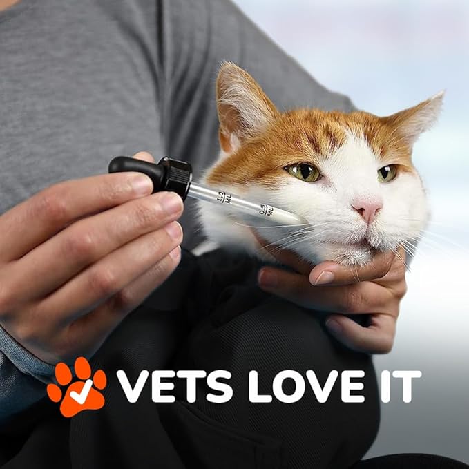 Cat-in-the-Bag Cozy Comfort Carrier - Extra Small Charcoal Cat Carrier Soft and Pet Carrier for Nail Clipping, Vet Visits, Medication Administration, Dental Care, and Traveling