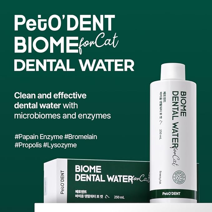 PetO’Dent Dental Water Additive for Cats–No Brushing Needed, Fresh Breath, Tartar Control & Gum Care with Catnip & Silvervine Extracts, 8.45 fl oz / 250ml