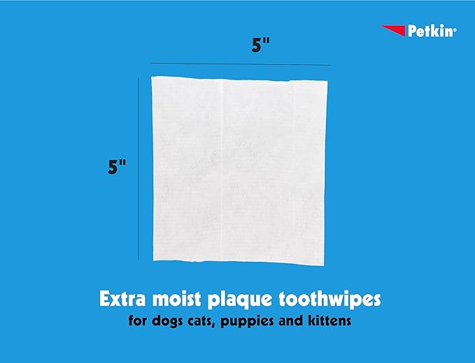 Petkin Cat and Dog Dental Wipes, 80 Wipes (Fresh Mint) - Natural Formula Cleans Teeth, Gums & Freshens Breath - for Daily Use - Convenient Dog Dental Care - 2 Packs of 40 Wipes (80 Wipes Total)