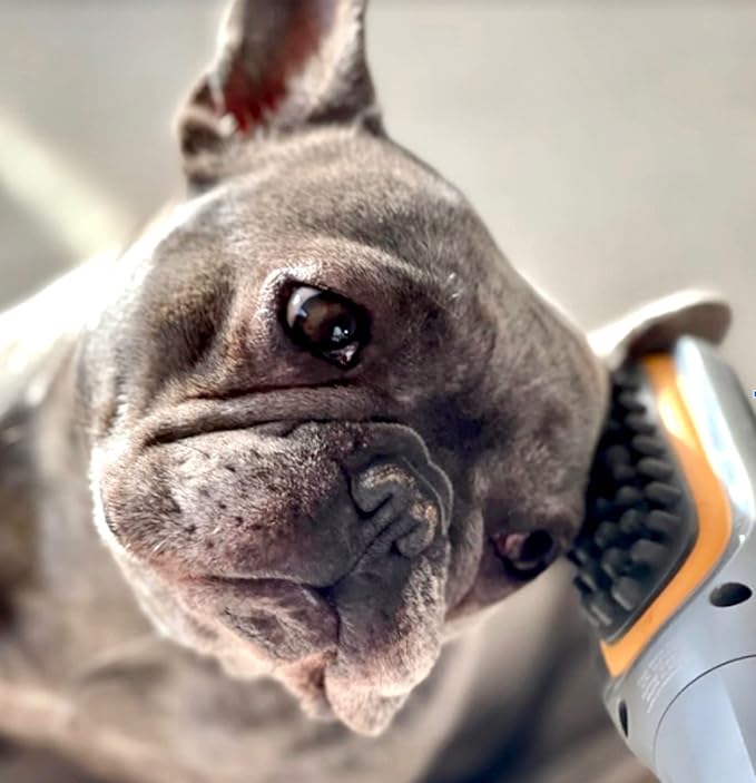 Buzz Therapeutic Brush Vibration Pet Massager for Dogs and Cats Designed to Help Soothe Tension, Increase Circulation and Relieve Tight Muscles