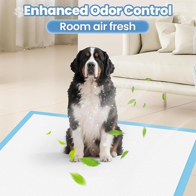 10 Count Dog Cat Puppy Pee Pads,24"x36" Super Absorbent Puppy Pads Leakproof Quick-Dry Disposable Pet Pads for Puppies, Dogs Cats Indoor, Outdoor, Housebreaking Use