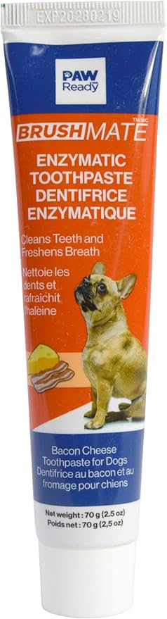 Paw Ready From Doggy Breath to Doggy Fresh Dog Dental Care Enzymatic Toothpaste for Dogs | Cleans Teeth and Freshens Breath | Safe for Puppies, Clinical Care, Bacon Cheese Flavor - 1 Pack 70g (2.5 oz)