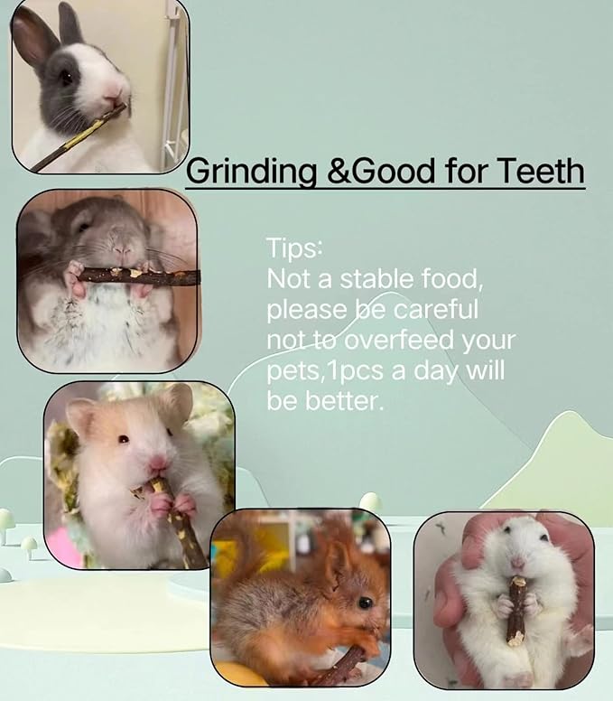 400g/14oz Apple Wood Sticks for Rabbits,Natural Apple Chew Sticks Toys and Treats for Chinchilla Guinea Pig Hamster Gerbil Bunny