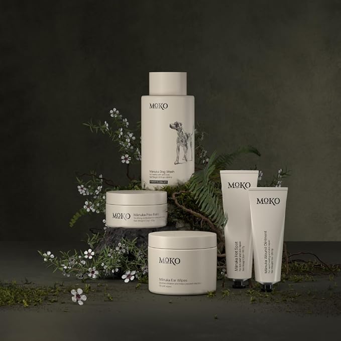 Manuka Dog Ear Cleaner Wipes - Otic Cleanser for Dogs to Stop Ear Itching, and Infections with Aloe and Manuka Honey - 50 Count