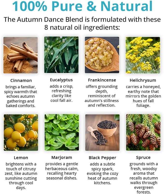 Wild Essentials Autumn Dance Aromatherapy Gift Set – Inhaler, Roll-On, Room Spray & Essential Oil – Seasonal Comfort Blend – USA Made