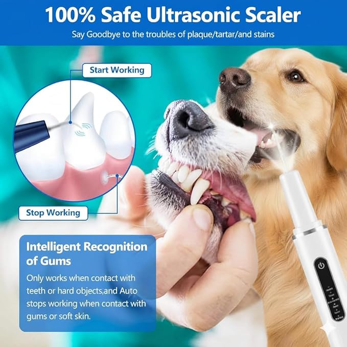 KT Dog Teeth Cleaning Kit for Small & Large Dogs – Complete Pet Dental Care Set with Enzymatic Toothpaste, Dual-Head & Finger Toothbrush – Plaque & Tartar Remover, Fresh Breath Oral Hygiene Solution
