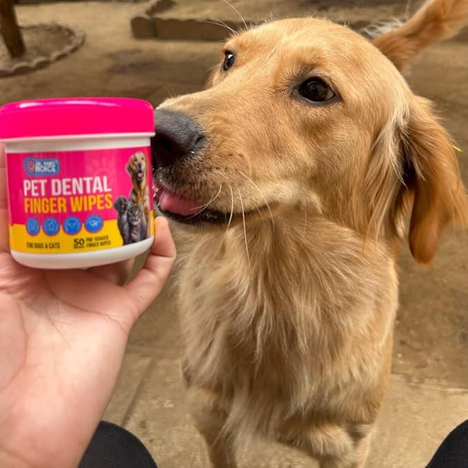 Dr. Paws: Pet Dental Finger Wipes - Natural Ingredients, Easy to Use Dog Teeth Cleaning Wipes for Effective Dog Teeth Cleaning - Ideal Dog Dental Wipes for Optimal Oral Hygiene