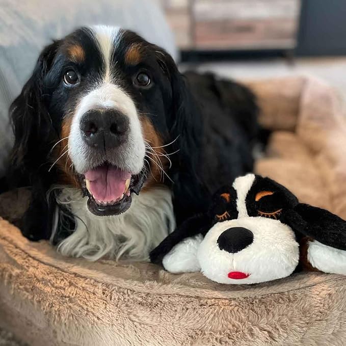 Special Edition Snuggle Puppy Toys - Heartbeat Puppy for Dogs - Pet Anxiety Relief and Calming Aid - Comfort Dog Toys for Behavioral Training