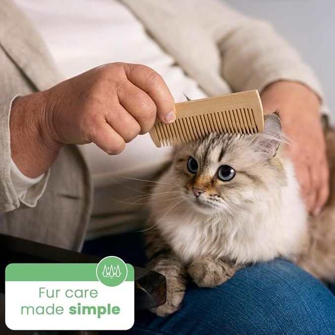 Best Shot Scentament Spa Caressing Body Wash, Fresh Apple Lily, 1 gallon