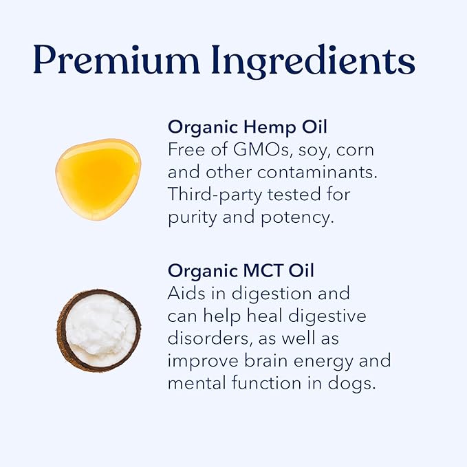 Honest Paws Holiday Complete Care - Honest Paws Deluxe Set