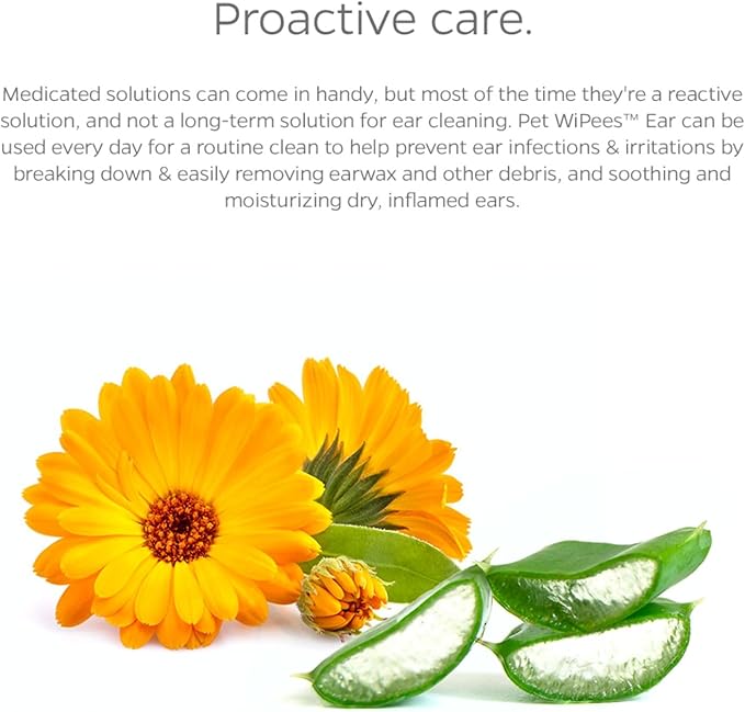 Ear Pet WiPees™ – 100 Ear Wipes for Dogs & Cats, All Natural Dog Ear Wipes for Infection & Itchy Ears, Gentle Cat & Dog Ear Cleaner for Daily Hygiene (Natural, 100ct)