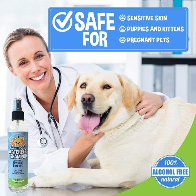 Bodhi Dog Waterless Shampoo for Dogs & Cats - Natural Dry Shampoo, Neutralizes Odor, No Rinse Needed, Safe for All Breeds - Made in USA - Lemongrass Scent (8 Fl Oz)