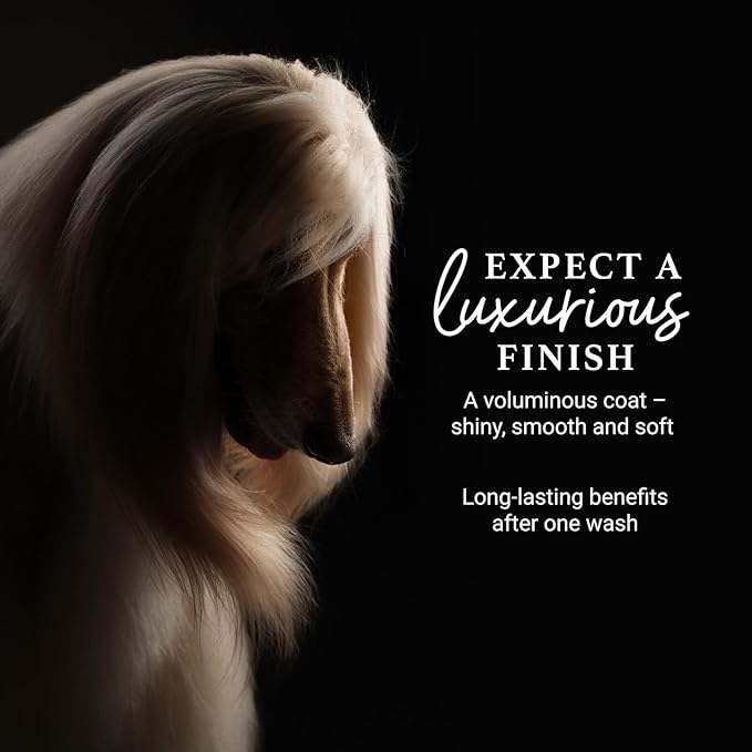 iGroom Deshedding & Detangling Dog Shampoo, Luxury Pet Beauty Care, Loosen Tangles + Unwanted Undercoat, Adds Shine + Volume, Made in USA (16 OZ)