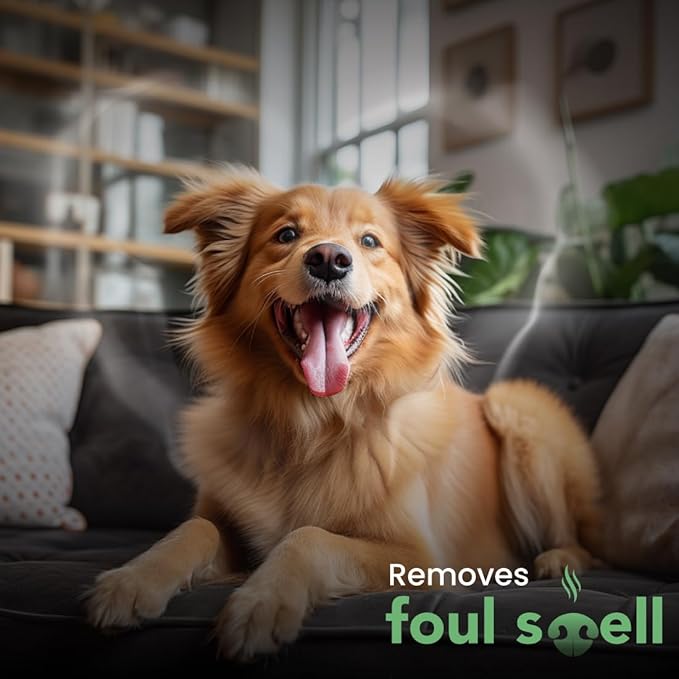 Best Shot Scentament Spa Botanical Body Splash, Detangler Spray, Body Spray for Pets, Cat and Dog Cologne Spray, Lemon Vanilla, 8 Oz.