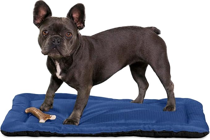 K9 Ballistics Tough Ripstop Dog Crate Pad - Durable, Machine Washable Kennel & Travel Mat for Puppies and X Small Dogs, 23 x 17 fits 24” Wire Crate, Blue Quartz