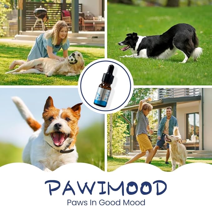 No-Rinse Pet Shampoo & Conditioner Essence for Dogs & Cats, Dilute Before Use, for Small/Medium Pets, Soothes Skin, Hydrates Coat, Pomegranate Scent, Suitable for Pet Steam Brush