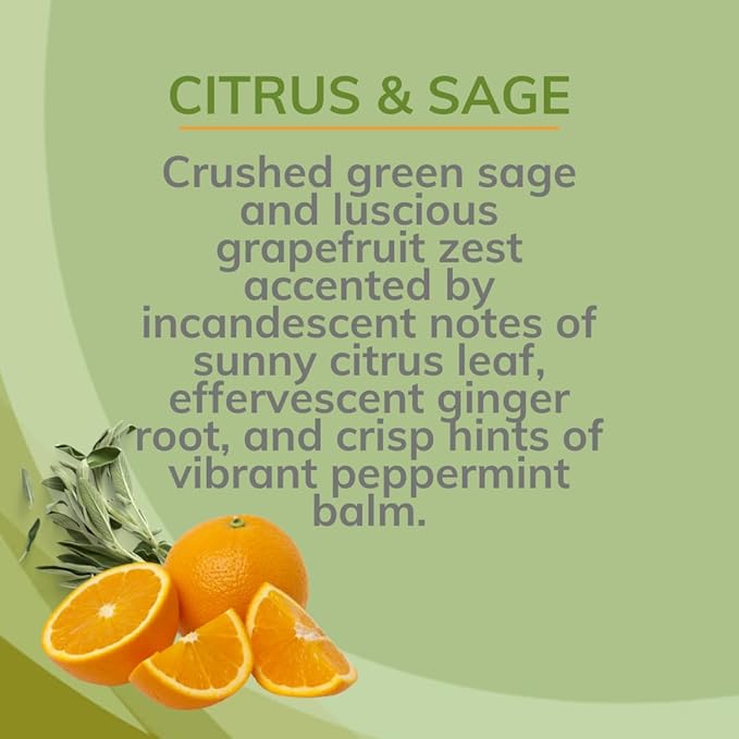 Citrus Magic Odor Eliminating Air Freshener Spray, Citrus and Sage, 3-Ounce, Pack of 3