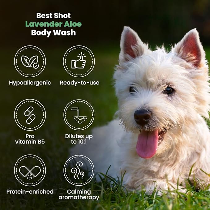 Best Shot Scentament Spa Calming Body Wash, Lavender Aloe, 1 Gallon
