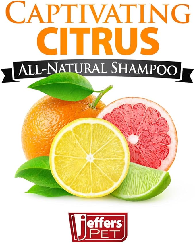Jeffers Captivating Citrus Pet Shampoo, 17 oz – Soap Free Grooming for Dogs, Cats & Puppies – Orange & Lime Scent, Aloe & Coconut Oil – Safe for All Coat Types – Easy Rinse Formula for Home