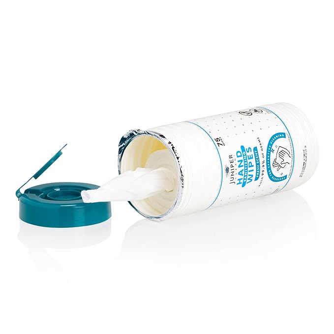 1 Pack Hand Sanitizing Wipes, Alcohol Free 75 Count Canister Disposable Hand Sanitizer Wipes, Fresh Scent, Lint Free & Durable