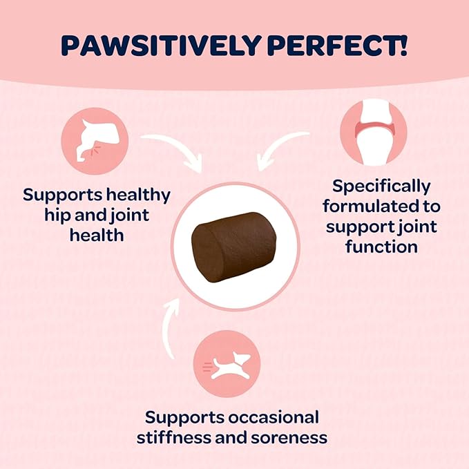 Hip and Joint Chews for Dogs | Dog Glucosamine Chews for Comfort & Mobility with Chondroitin MSM & Turmeric | Dog Joint Supplement for All Ages & Sizes | NASC Certified & Made in The USA | 90 Chews