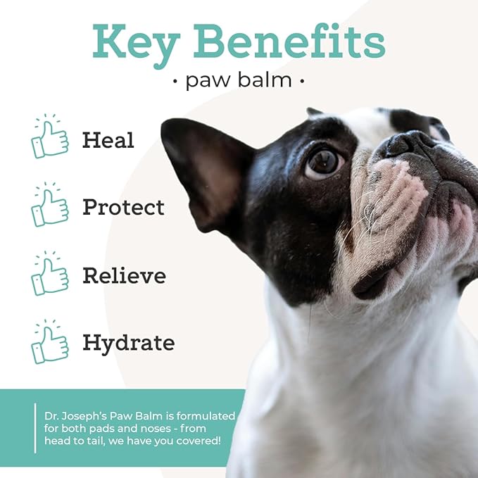 VetPro Complete Paw Balm for Dogs and Cats, 2 Ounces, Natural Protection & Paw Soother for Dry Pads & Noses, Vet Formulated Foot Cream, Vitamin E & Aloe, Protect & Repair